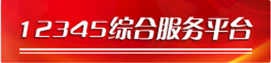 12345综合服务平台