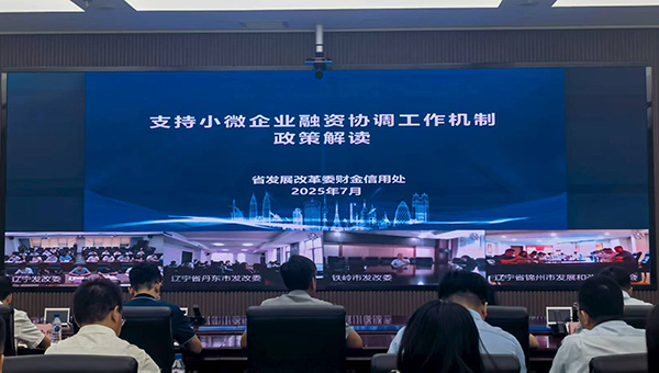 省发展改革委、辽宁金融监管局召开全省强化支持小微企业融资协调工作视频培训会议